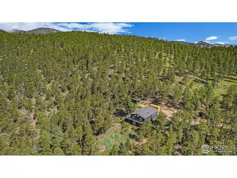 50 Pine Dr, Lyons, CO 80540 photo 26