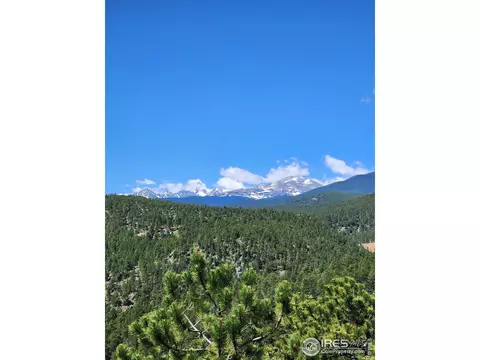 50 Pine Dr, Lyons, CO 80540 photo 38