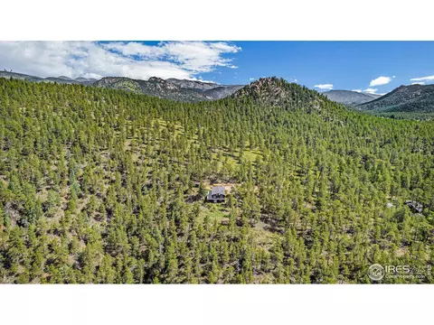 50 Pine Dr, Lyons, CO 80540 photo 32