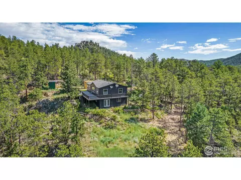 50 Pine Dr, Lyons, CO 80540 photo 24