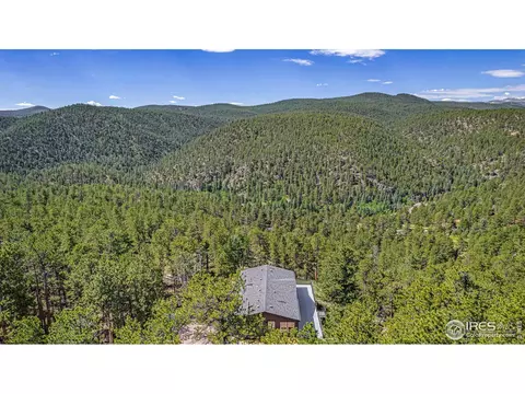 50 Pine Dr, Lyons, CO 80540 photo 28