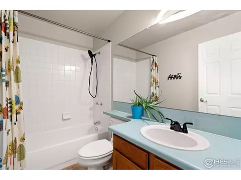 912 Conifer Ct, Windsor, CO 80550 photo 22