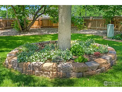 912 Conifer Ct, Windsor, CO 80550 photo 32