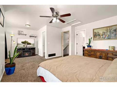 912 Conifer Ct, Windsor, CO 80550 photo 18