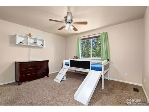 912 Conifer Ct, Windsor, CO 80550 photo 21