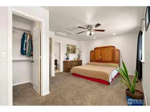 912 Conifer Ct, Windsor, CO 80550 photo 16