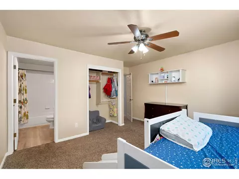 912 Conifer Ct, Windsor, CO 80550 photo 20