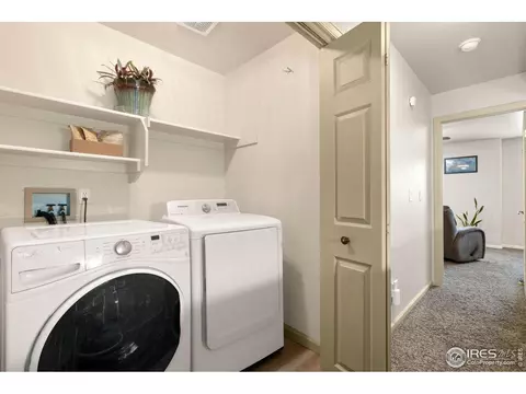 912 Conifer Ct, Windsor, CO 80550 photo 23