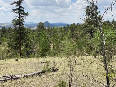 73 Rams Run, Jefferson, CO 80456 photo 12