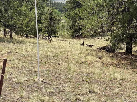 73 Rams Run, Jefferson, CO 80456 photo 9
