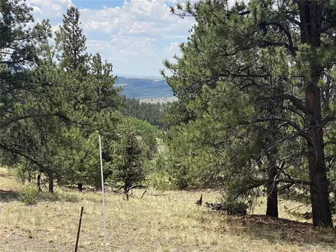 73 Rams Run, Jefferson, CO 80456 photo 3