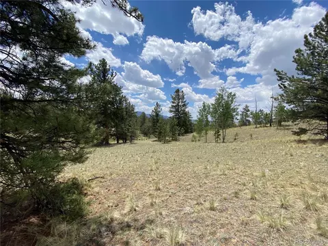 73 Rams Run, Jefferson, CO 80456 photo 10