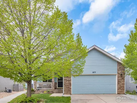 877 Durum St, Windsor, CO 80550