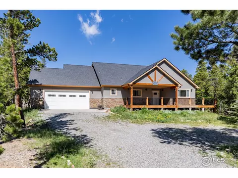 425 Indian Peaks Dr, Nederland, CO 80466