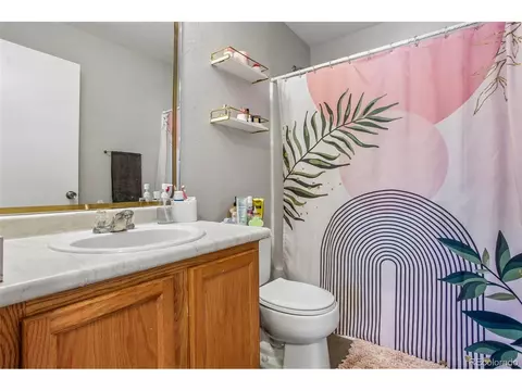 Bath - 19672 E 55th Pl, Denver, CO 80249 photo 3 of 3