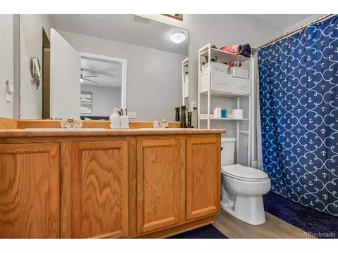 Bath - 19672 E 55th Pl, Denver, CO 80249 photo 2 of 3