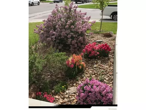 5413 E 125th Dr, Thornton, CO 80241 photo 34