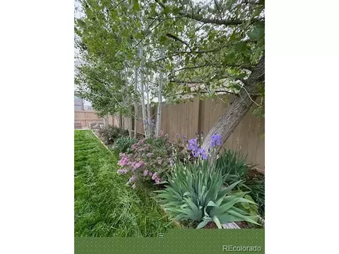 5413 E 125th Dr, Thornton, CO 80241 photo 38