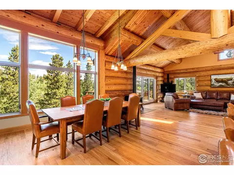 734 Pine Cone Cir, Ward, CO 80481 photo 7