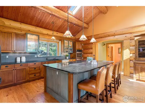 734 Pine Cone Cir, Ward, CO 80481 photo 10