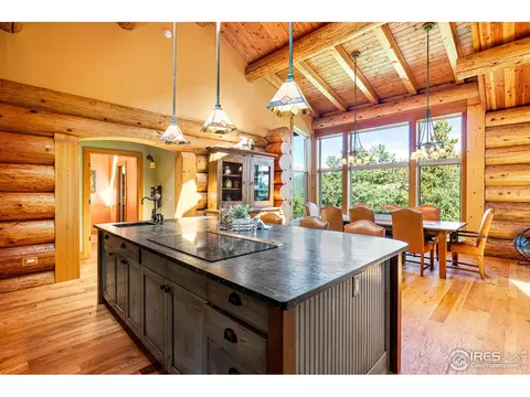 734 Pine Cone Cir, Ward, CO 80481 photo 9