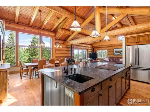 734 Pine Cone Cir, Ward, CO 80481 photo 11