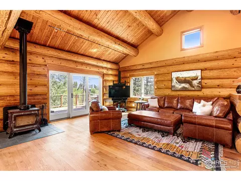 734 Pine Cone Cir, Ward, CO 80481 photo 5