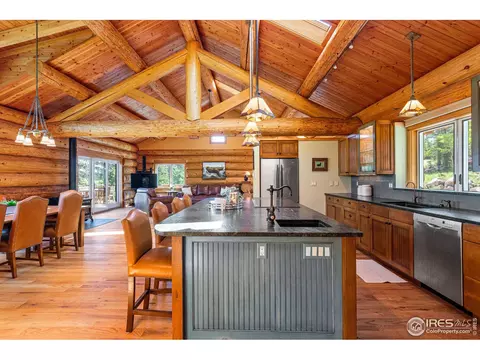 734 Pine Cone Cir, Ward, CO 80481 photo 13