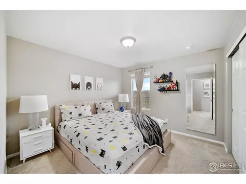 1675 Highfield Dr, Windsor, CO 80550 photo 21