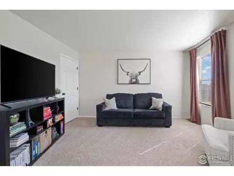 931 Keneally Ct, Windsor, CO 80550 photo 24