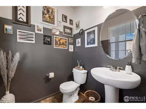 931 Keneally Ct, Windsor, CO 80550 photo 13