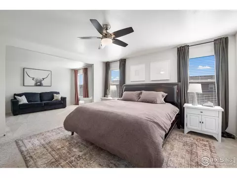 931 Keneally Ct, Windsor, CO 80550 photo 6