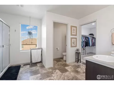 931 Keneally Ct, Windsor, CO 80550 photo 26