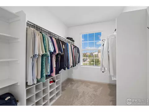931 Keneally Ct, Windsor, CO 80550 photo 22