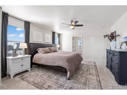 931 Keneally Ct, Windsor, CO 80550 photo 21