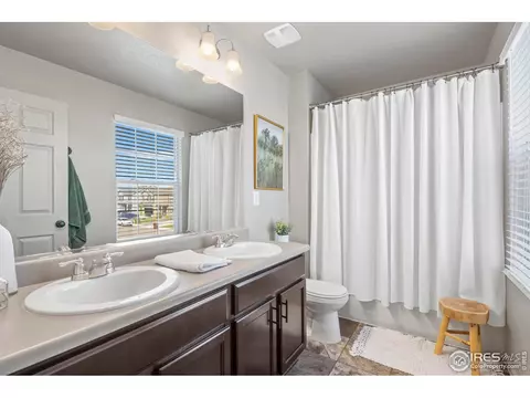 931 Keneally Ct, Windsor, CO 80550 photo 19