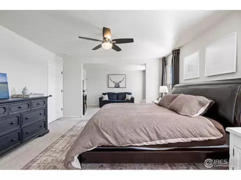 931 Keneally Ct, Windsor, CO 80550 photo 25