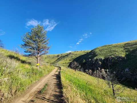 2241 Big Bear Rd, Loveland, CO 80537