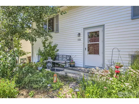 725 5th Ave, Lyons, CO 80540 photo 6