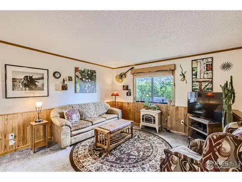 725 5th Ave, Lyons, CO 80540 photo 7