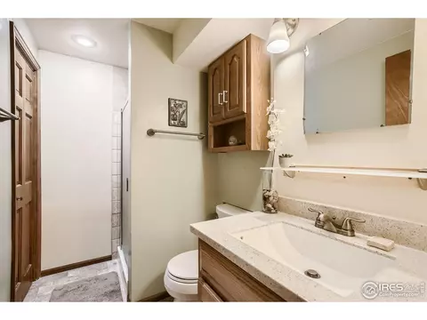 725 5th Ave, Lyons, CO 80540 photo 19