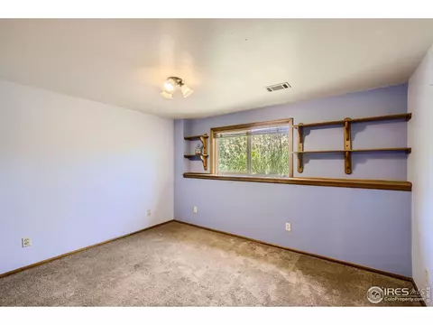725 5th Ave, Lyons, CO 80540 photo 17