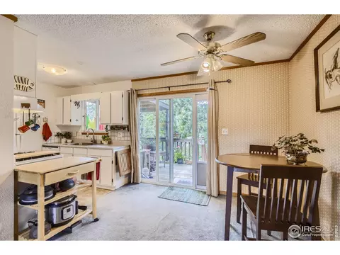 725 5th Ave, Lyons, CO 80540 photo 13