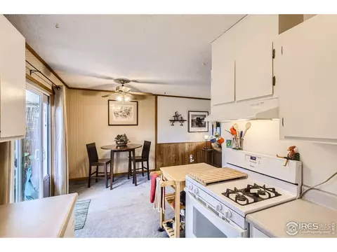 725 5th Ave, Lyons, CO 80540 photo 12