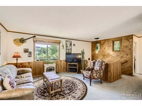 725 5th Ave, Lyons, CO 80540 photo 8