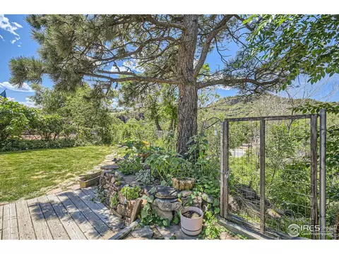 725 5th Ave, Lyons, CO 80540 photo 23