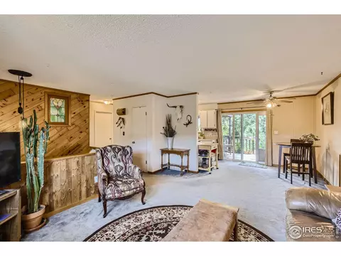 725 5th Ave, Lyons, CO 80540 photo 9