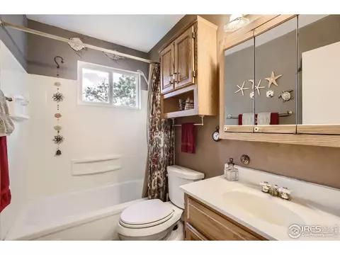 725 5th Ave, Lyons, CO 80540 photo 15