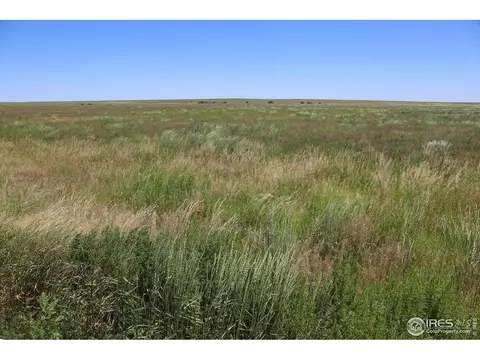 County Road 43, Pierce, CO 80650