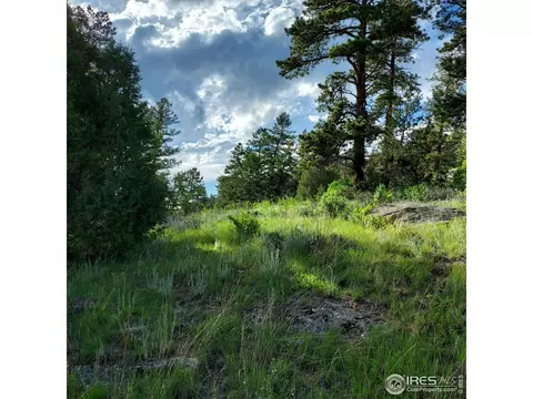 256 Pinyon Trl, Estes Park, CO 80517